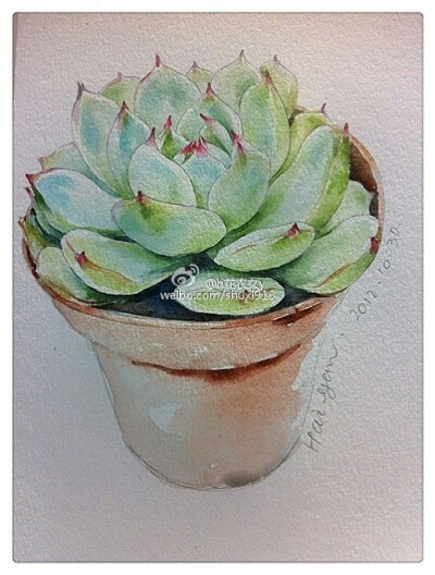 watercolor
