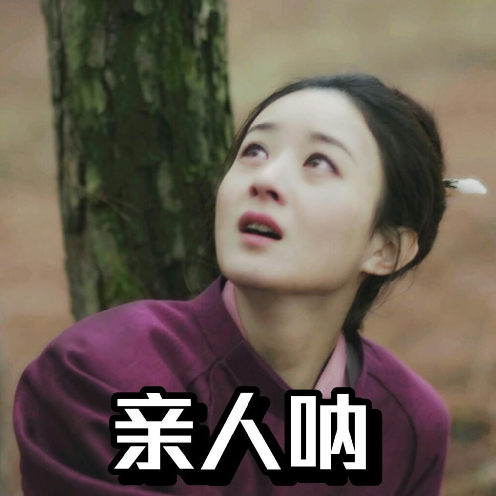 知否知否应是绿肥红瘦 表情包 赵丽颖饰盛明兰 cr.@sferdy