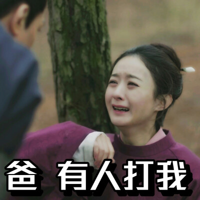 知否知否应是绿肥红瘦 表情包 赵丽颖饰盛明兰 cr.@sferdy