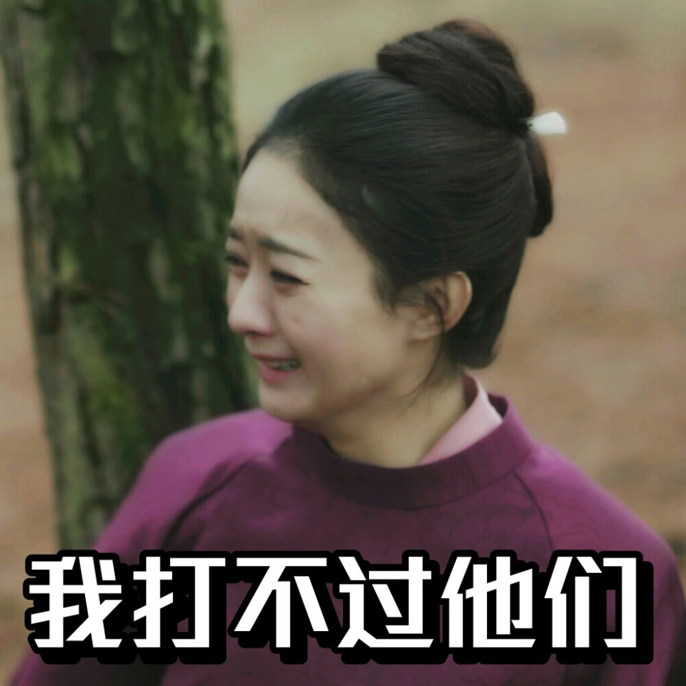 知否知否应是绿肥红瘦 表情包 赵丽颖饰盛明兰 cr.@sferdy