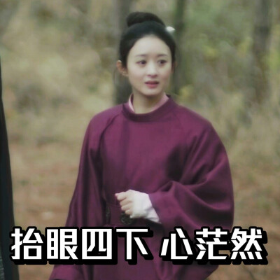 知否知否应是绿肥红瘦 表情包 赵丽颖饰盛明兰 cr.@sferdy