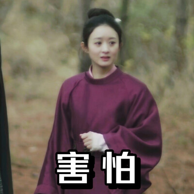 知否知否应是绿肥红瘦 表情包 赵丽颖饰盛明兰 cr.@sferdy