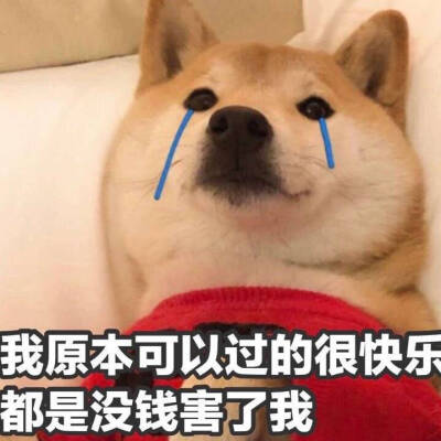 表情包