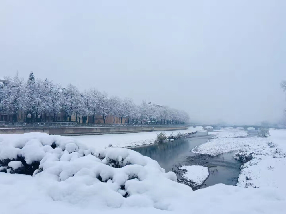 2019帕尔马.雪