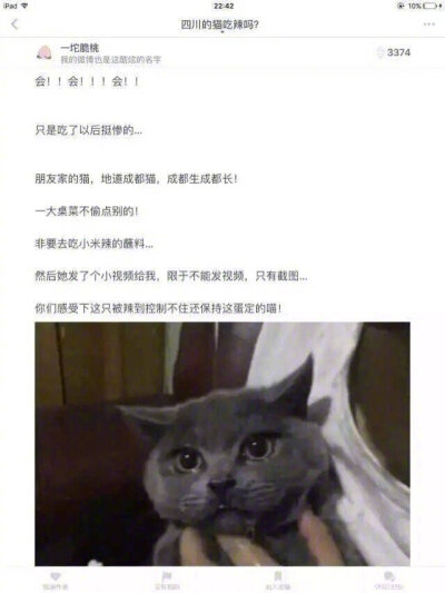 #被辣到掉线#四川的猫咪到底能不能吃辣？这可能就是一个最明显的答案莫名心疼但是又觉得莫名好笑是怎么回事