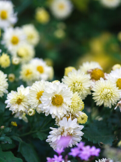 世界那么大，等着我们发现美，并记录下来！无论动漫、漫画、电影、模特、植物、手绘，都是美。。。保存图片收藏至我的专辑，每次欣赏，心情都会愉悦些，非常感谢分享美图的堆糖友们！