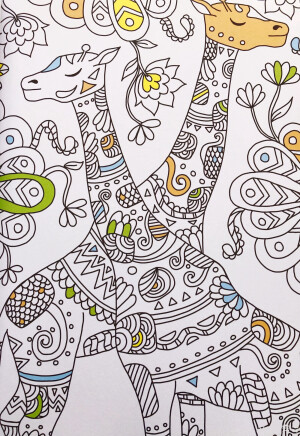 儿童线描画！