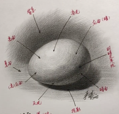 素描三大面五大调子是什么？视频教程