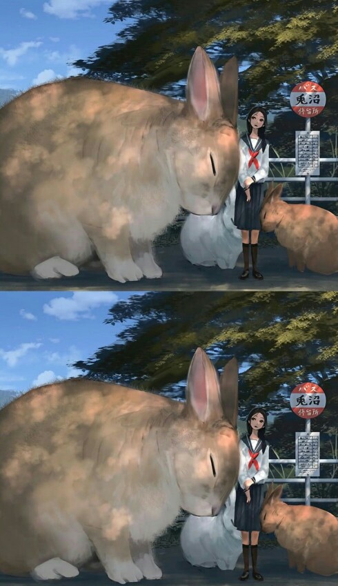 动漫 兔与女 壁纸