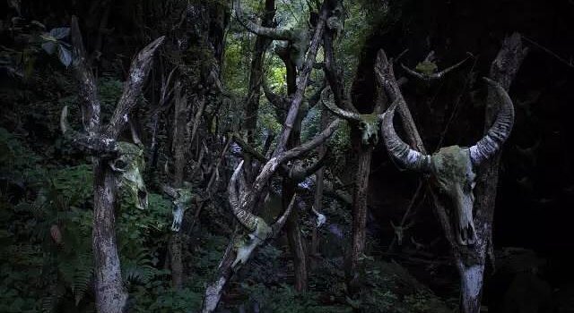 “龙摩爷”是云南边地西盟佤族自治县的阿佤山深处一处充满神秘气氛的原始宗教祭祀圣地。这里林幽草密，常年云雾缭绕，幽深的谷底树梢和悬崖峭壁上悬挂着无数水牛头骨和岁月沧桑的“人头桩”。世代居住在阿佤山上的佤族信奉万物有灵的自然崇拜，自古以牛为神圣吉祥物和崇拜图腾。日积月累，这块圣地已供奉3000多具作为“牺牲”的牛头。