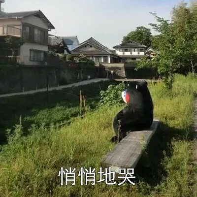 熊本熊