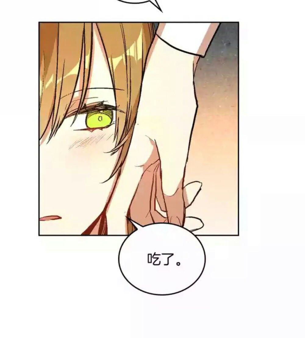 公爵的契约未婚妻