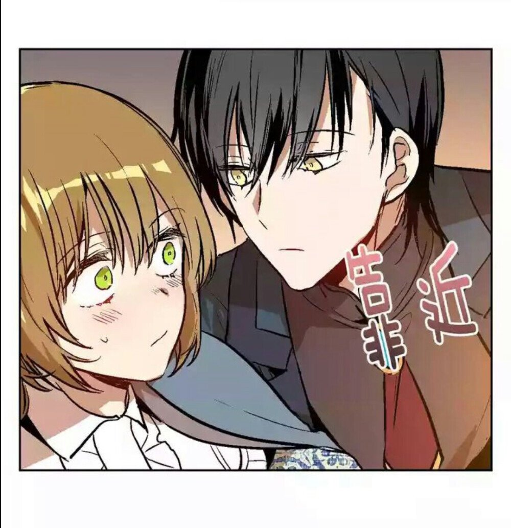 公爵的契约未婚妻