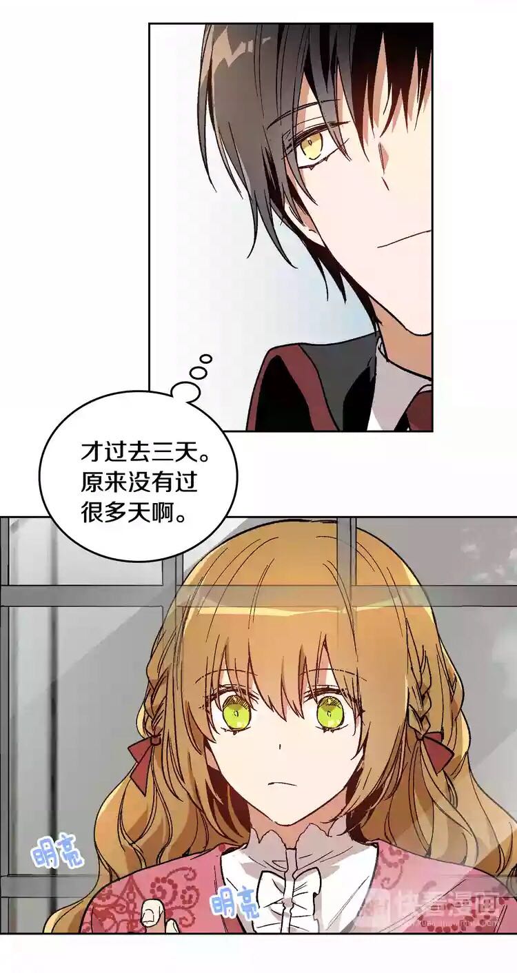 公爵的契约未婚妻