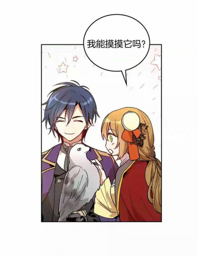 公爵的契约未婚妻