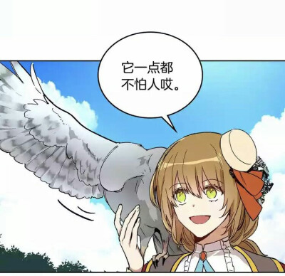 公爵的契约未婚妻