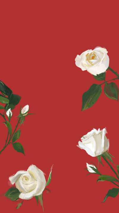 超好看的白玫瑰white rose红色背景复古手机壁纸
一眼就喜欢上