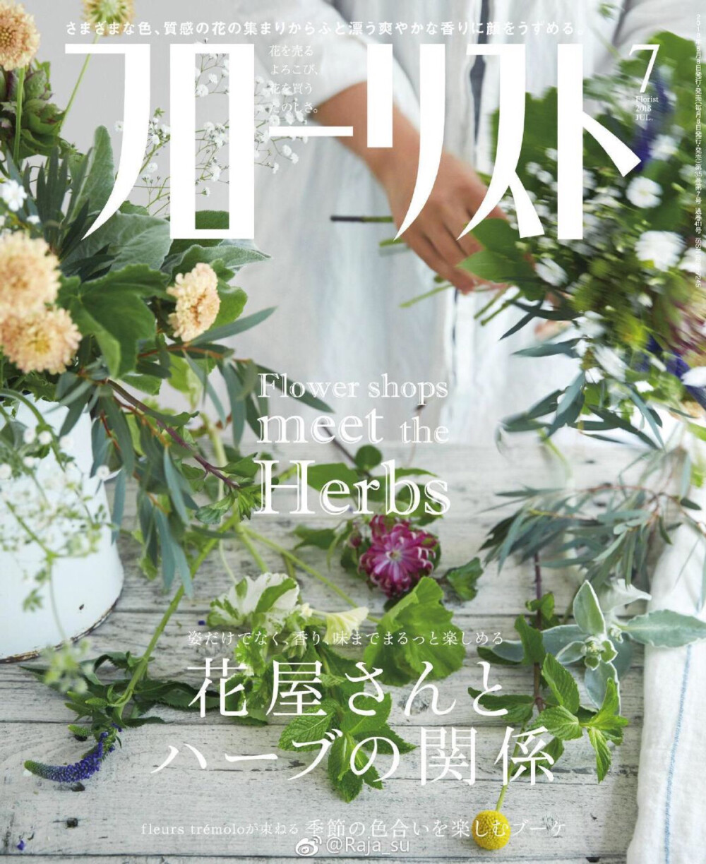 ???#讀雜誌#來 看看綠植清涼一下！#pics / フローリスト# ???