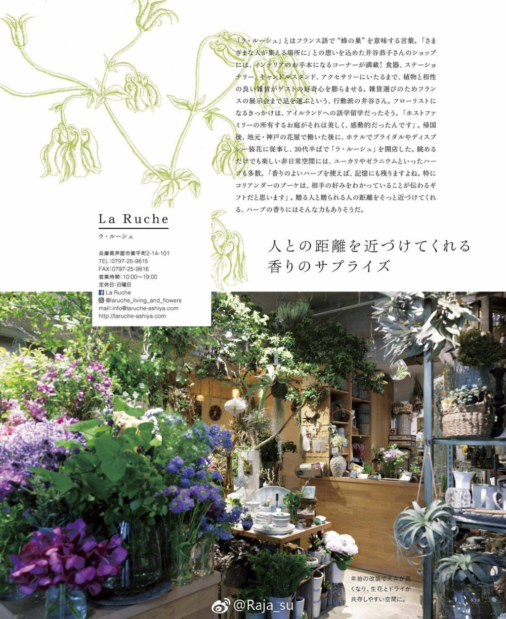 ​​​#讀雜誌#來 看看綠植清涼一下！#pics / フローリスト# ​​​