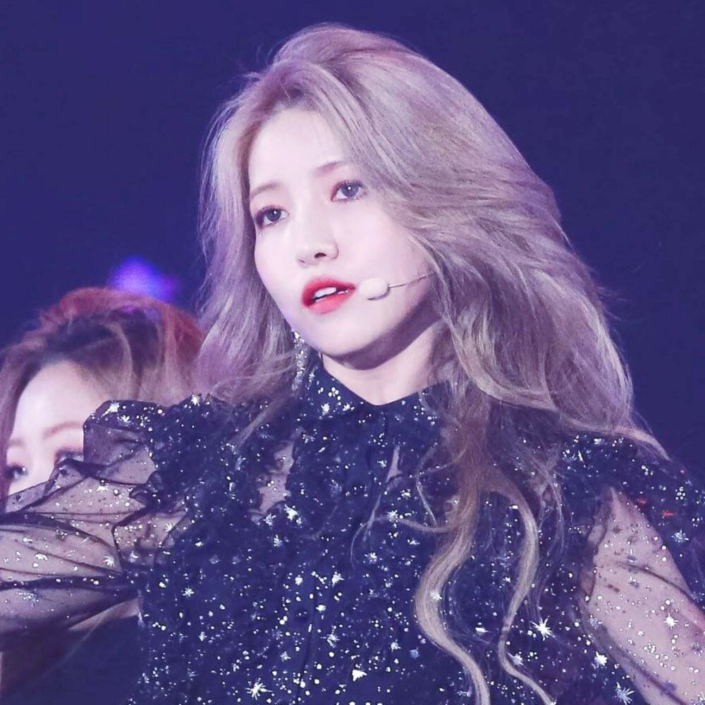 林纾妤
金韶情/所愿