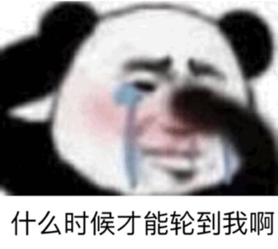 什么时候才轮到我啊