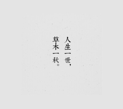 纯色 文字壁纸