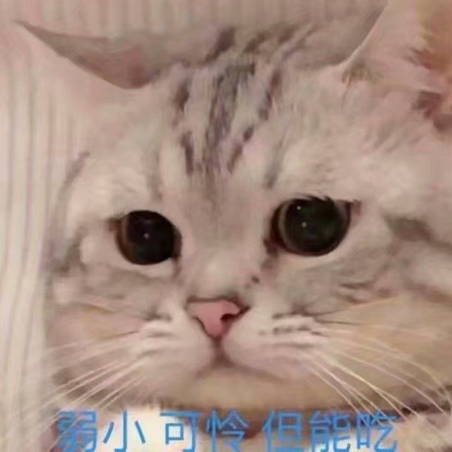 喵