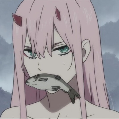 《DARLING in the FRANXX》