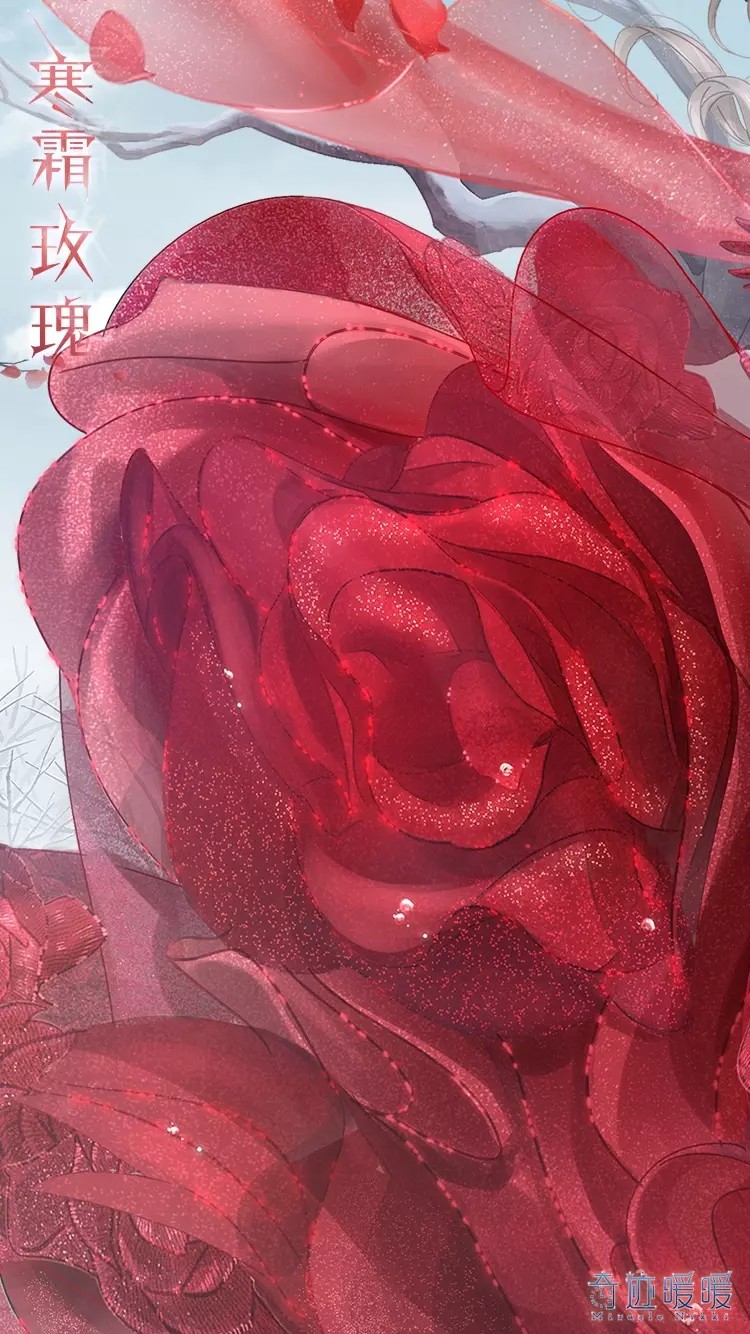 奇迹暖暖【苹果】2019春节福袋——「寒霜玫瑰」幼时我爱玫瑰，爱她娇艳无双。可现在我只爱她开得轰轰烈烈，毫无保留。