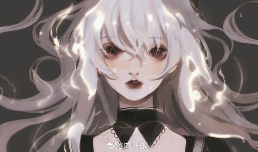 白川柏川太太的图