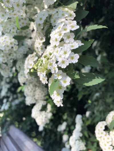 涤荡心灵的美