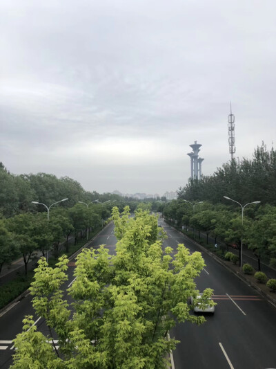 雨后的清晨