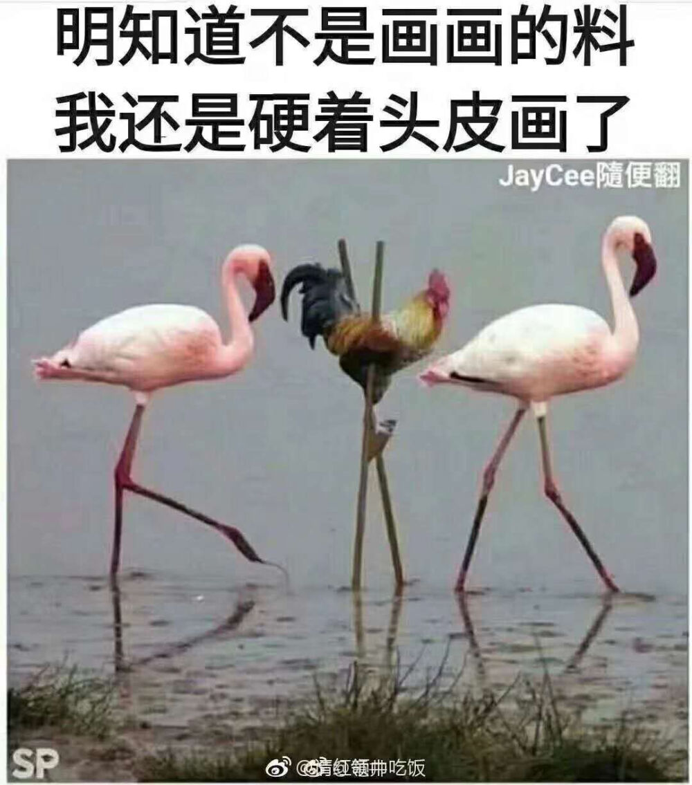 哈哈哈哈