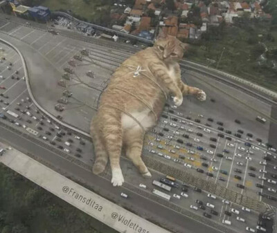 猫 可爱 动物 插画