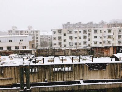 忘记说，之前下大雪了。