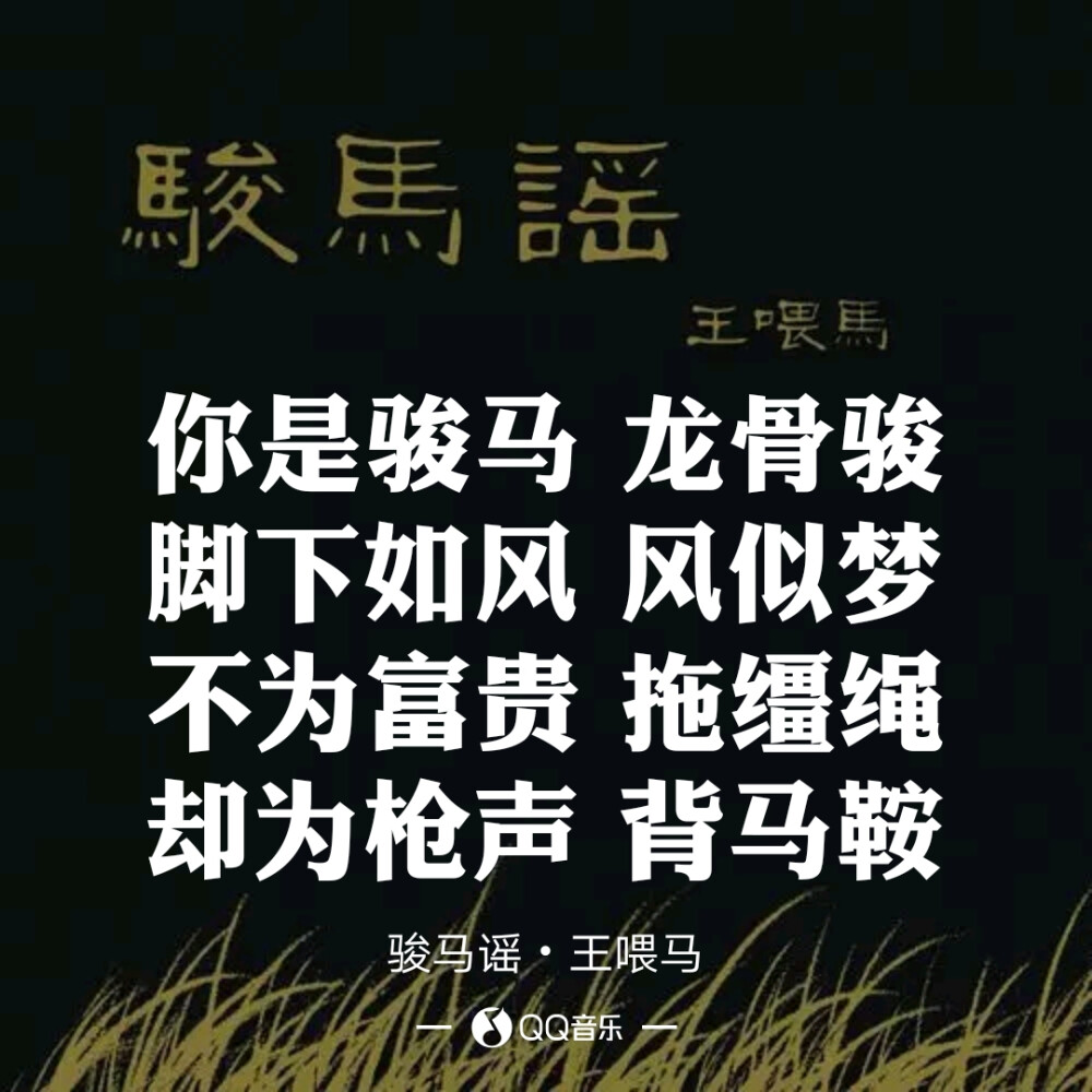 《骏马谣》王喂马