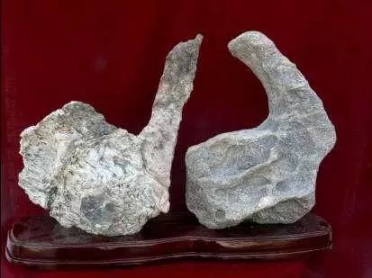 三江源头石
三江源头石是产自于青海省三江源上的一种奇石，是一种具有深厚的文化底蕴的奇石，对于奇石的历史，文化，艺术价值都有研究的辅助作用，而对于研究青海地区的地壳变动和江河文化都有着非凡的历史意义，所以，非常有收藏价值。