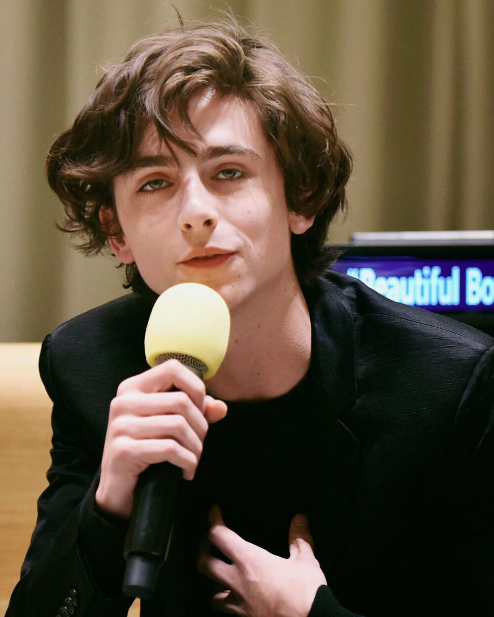 甜茶Timothée Chalamet在联合国总部宣传Beautiful Boy