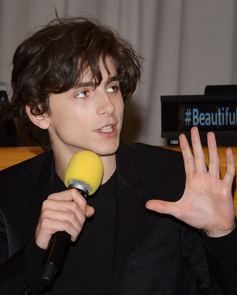 甜茶Timothée Chalamet在联合国总部宣传Beautiful Boy