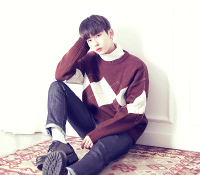 风吹起如花般破碎的流年，而你的笑容摇晃摇晃，成为我命途中最美的点缀，看天，看雪，看季节深深的暗影。