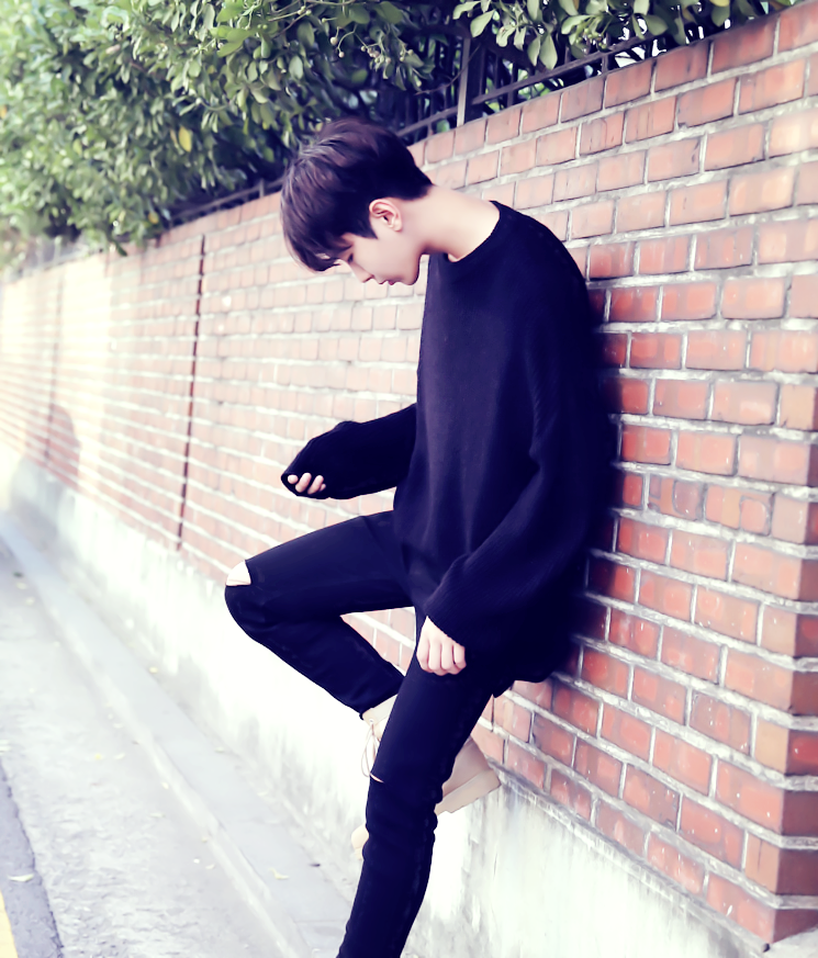 风吹起如花般破碎的流年，而你的笑容摇晃摇晃，成为我命途中最美的点缀，看天，看雪，看季节深深的暗影。