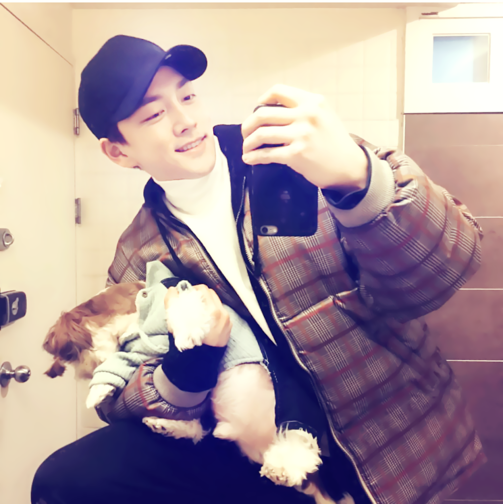 风吹起如花般破碎的流年，而你的笑容摇晃摇晃，成为我命途中最美的点缀，看天，看雪，看季节深深的暗影。