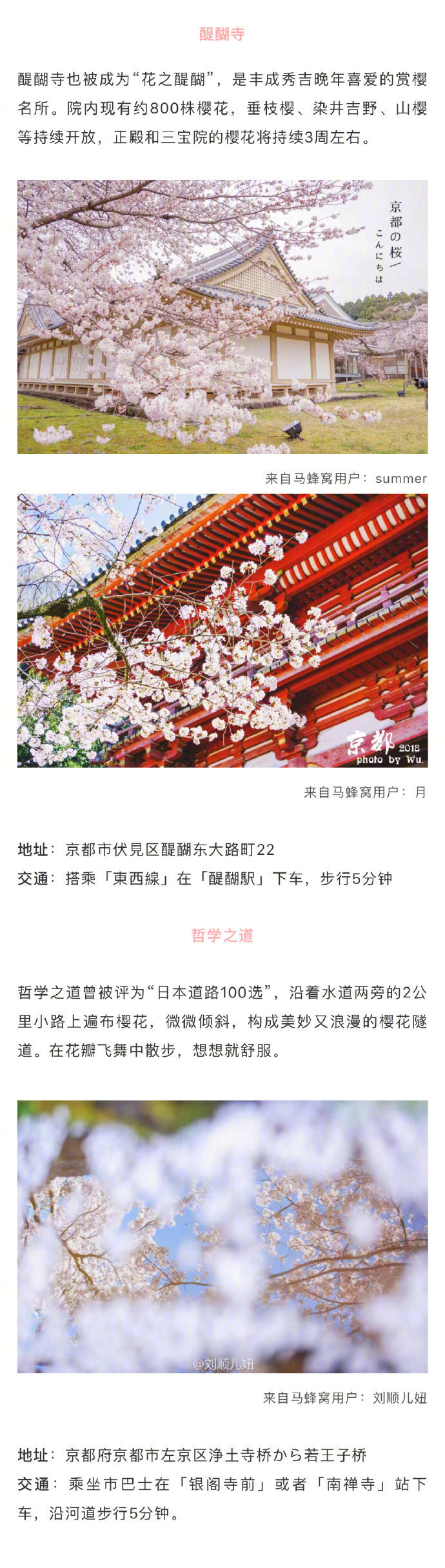 2019年日本樱花季花期已出，最佳赏樱地收好 分享来自：马蜂窝旅游