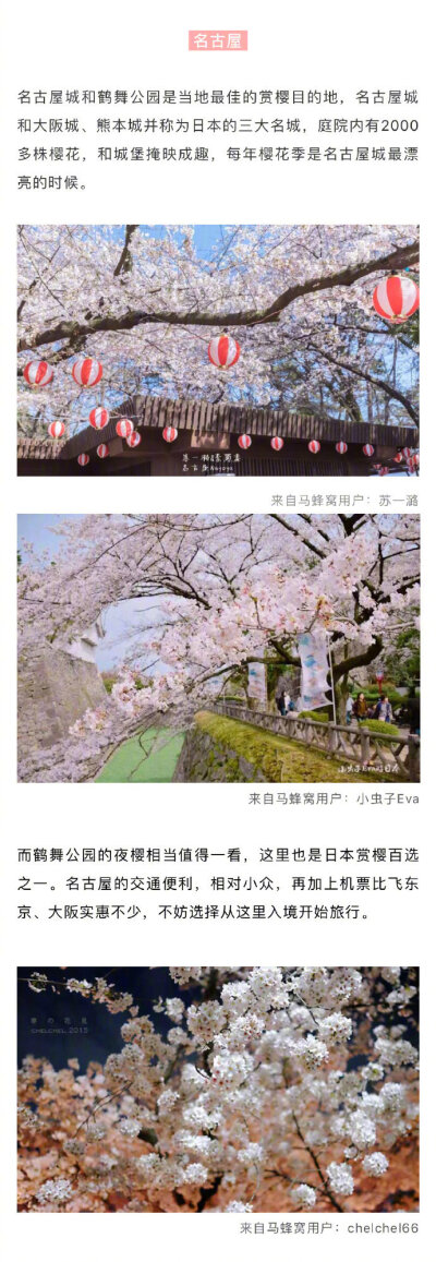 2019年日本樱花季花期已出，最佳赏樱地收好 分享来自：马蜂窝旅游