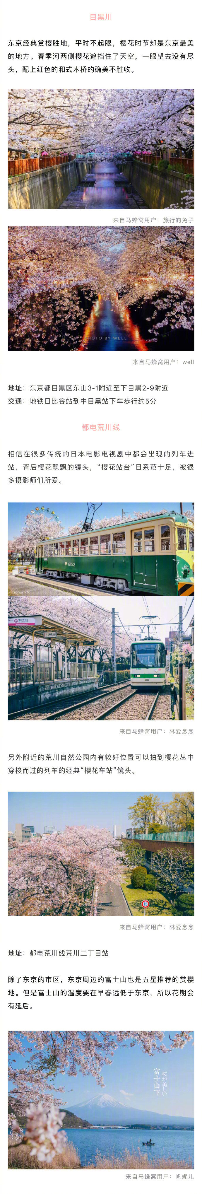 2019年日本樱花季花期已出，最佳赏樱地收好 分享来自：马蜂窝旅游