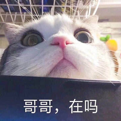 #没有难度的猫生毫无乐趣# 祝贺自己即将秃头