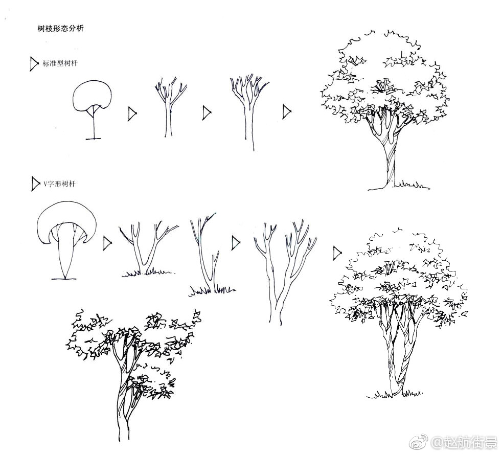 手绘表现中树的画法 （作者： 赵航街景 ）