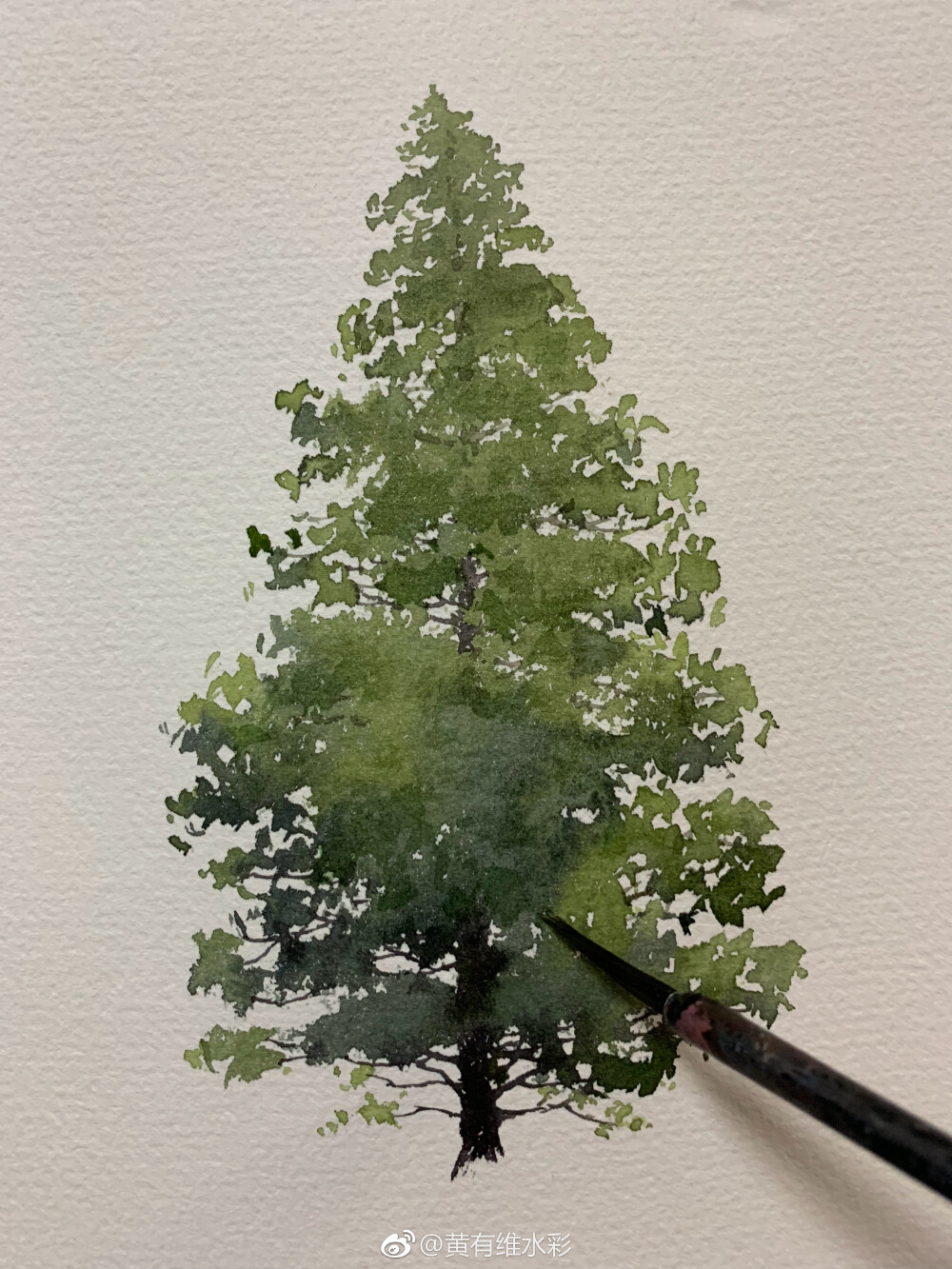 (作者:黄有维水彩 )