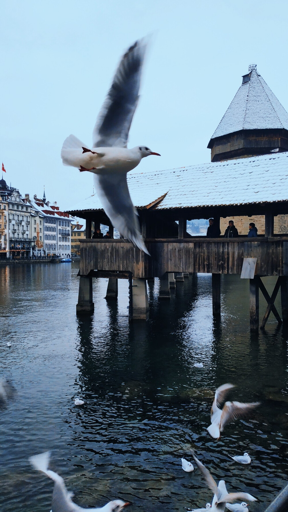 『Lake Lucerne』
瑞士的确是我喜欢的国家。除了冬天来到此国，骨头都冻到冰凉之外，我找不到它任何缺点。
背着相机围绕琉森湖，执着地走了近三小时，最后花二十分钟逛百达翡丽等世界十大名表独栋的店。520张照片终于拍满。
夜幕来临，灯火无限温柔。想起某部武侠片里大反派说：“如果你心中有所爱，那你必定要为它付出大的代价。”
我给世界的答案是：我愿意。