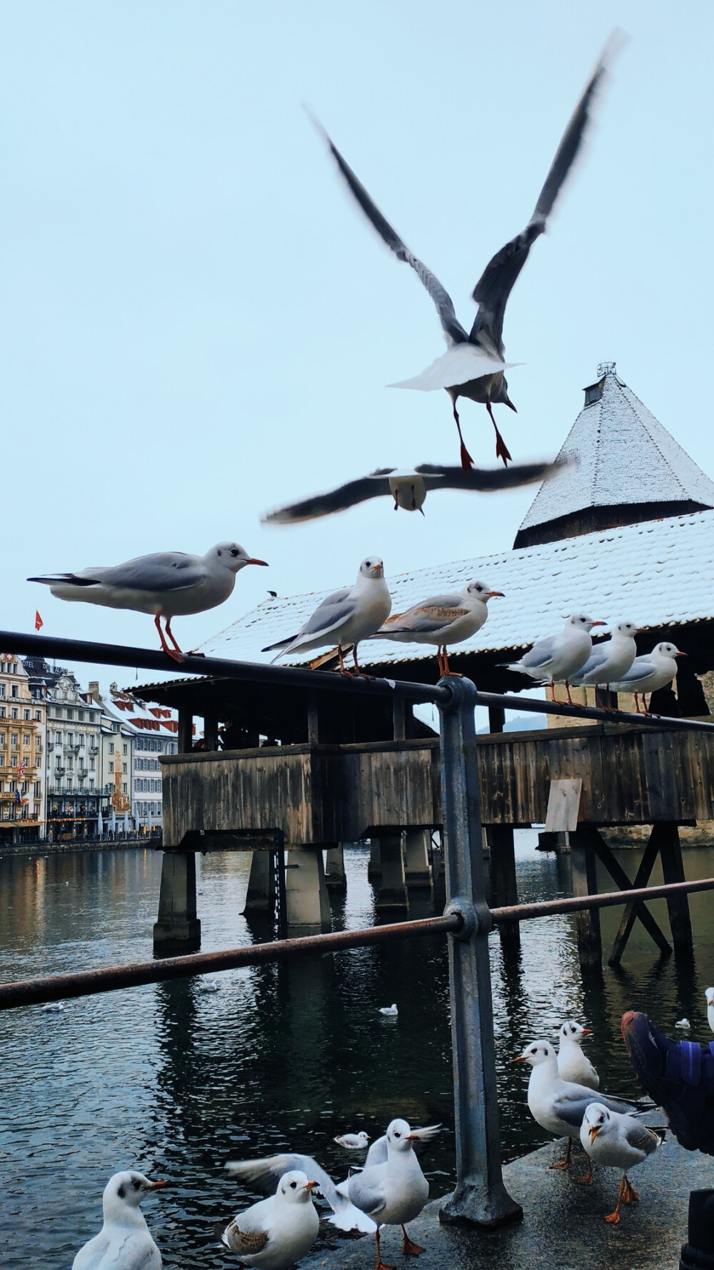 『Lake Lucerne』
瑞士的确是我喜欢的国家。除了冬天来到此国，骨头都冻到冰凉之外，我找不到它任何缺点。
背着相机围绕琉森湖，执着地走了近三小时，最后花二十分钟逛百达翡丽等世界十大名表独栋的店。520张照片终于拍满。
夜幕来临，灯火无限温柔。想起某部武侠片里大反派说：“如果你心中有所爱，那你必定要为它付出大的代价?！?我给世界的答案是：我愿意。